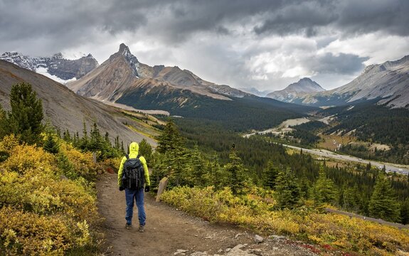 Hiker between autumnal bushes, view of Sunwapta Pass, mountain landscape and glaciers in autumn, mountains Hilda Peak and Mount Wilcox, Parker Ridge, Icefields Parkway, Jasper National Park National Park, Canadian Rocky Mountains, Alberta, Canada