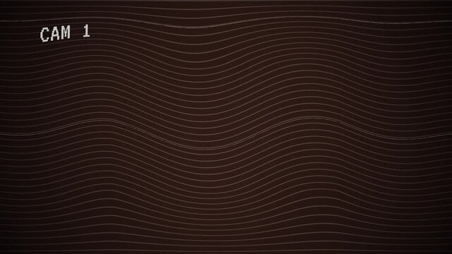 CCTV Camera Overlay with CAM 1 and Retro Scanlines