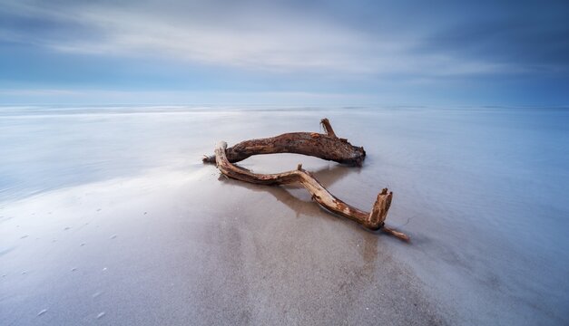 Long exposure, driftwood on sandbar on Baltic Sea beach in the evening, Dar&szlig; west beach after storm, Fischland-Dar&szlig;-Zingst peninsula, Western Pomerania Lagoon Area National Park, Mecklenburg-Western Pomerania, Germany
