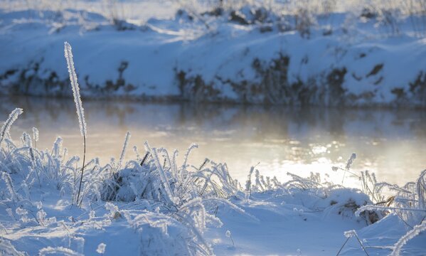 Grass covered by snow and frost, river banks in soft light, light, shimmering golden fog over the water, ice crystals on stalks, hoarfrost, grass, stalks, plants, wintery, frosty, sunny, frost, icy landscape, reflections, light reflections, reflection, silence, still life, deserted, winter day, frost, cold, nature, white, ice structures, structures, winter, warm and cold colors, blue, yellow, nature reserve, Ilmenau FFH area, L&uuml;neburg district, Lower Saxony, Germany