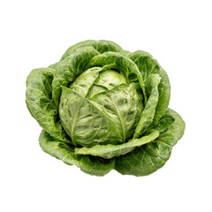 Obraz premium A whole head of fresh green romaine lettuce with tightly packed leaves isolated on a plain black background, studio food shot