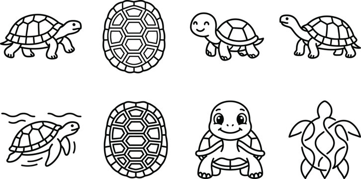 Turtle line art set diverse poses and shell patterns for design