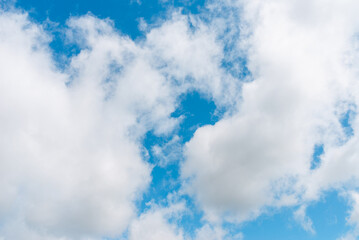 Obraz premium Bright blue sky with fluffy white cumulus clouds. Sunny day sky texture with picturesque white clouds. Natural sky background with scattered soft white clouds.