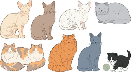 Cute Domestic Cat Breeds Vector Set Featuring Fluffy, Hairless, and Sitting Felines with Playful Kitten for Veterinary Care and Pet Lover Graphic Designs © MinnatunAkter