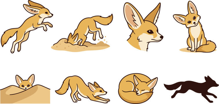 Cute Fennec Fox Vector Illustration Set Featuring Desert Wild Animals in Various Poses Sleeping Digging Jumping Sand Dunes and Solid Silhouette Shapes