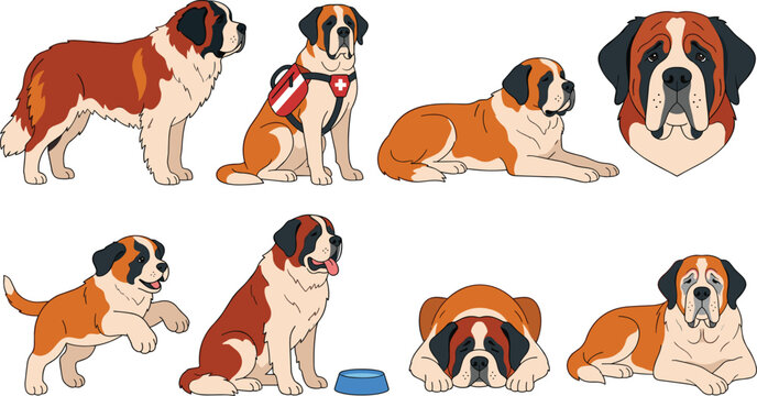 Saint Bernard Dog Vector Illustration Set Featuring Various Poses Actions Puppy Rescue Harness and Food Bowl Elements for Graphic Design Projects