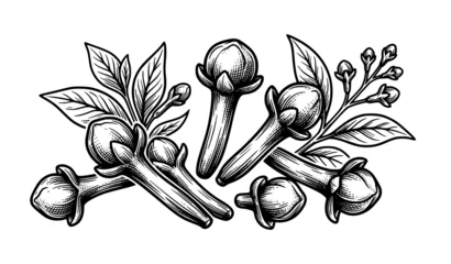 Stylized clove spice black and white vector botanical illustration © Prashanjit Dev