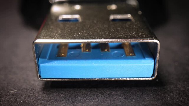 Macro view of usb type a male connector showing metal pins and blue plastic housing for data transfer.