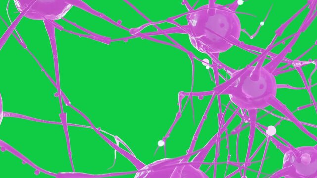 Camera sweep starting network pan and zoom, somas moving beads showing signals on transparent bg