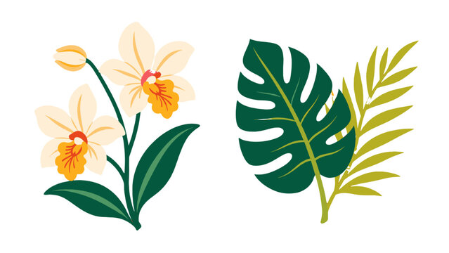 Tropical orchid flowers with monstera and palm leaves vector