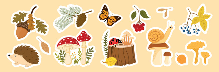 Autumn forest stickers vector set, cute woodland animals and mushrooms printable sticker sheet, hedgehog, snail, ladybug and butterfly. © Nadiia