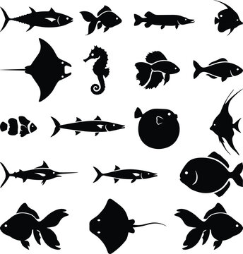 Set of diverse marine life silhouettes featuring stingrays, seahorses, tuna, pufferfish, and angelfish isolated on a white background