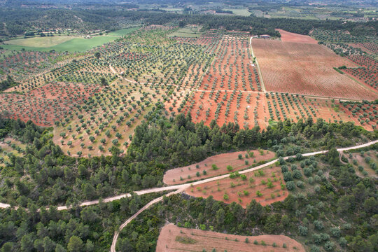 Bird's eye view of farmland nearby Arnes on cloudy spring day. Tarragona, Spain.
