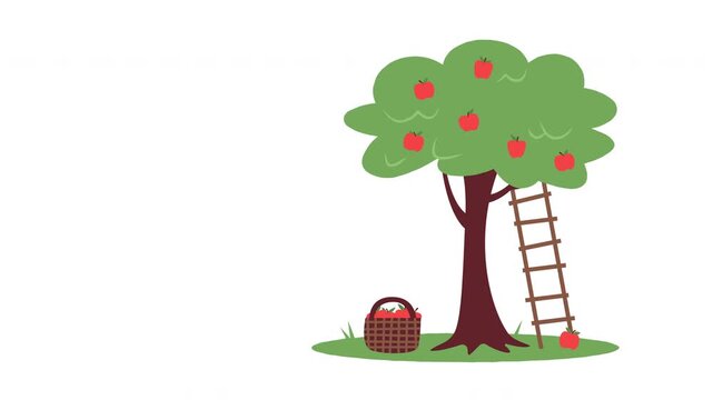 Animated apple tree gently sways in the wind while ripe apples hang from branches. One apple falls to the ground near a basket and ladder in a simple orchard scene