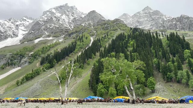 Tourists Riding Horses on Mountain Trail Near Thajiwas Glacier in Sonmarg Kashmir India
