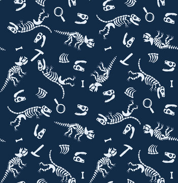 Dinosaur skeletons and fossils scattered on a dark blue background in a playful cartoon style
