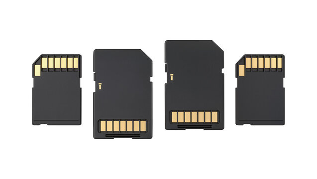 Four black SD memory cards with gold contacts