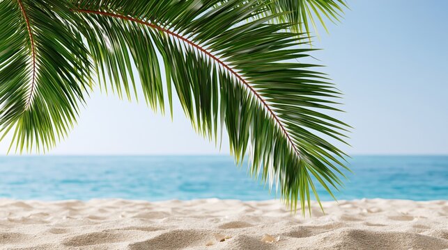 Tropical beach scene with palm leaves framing the ocean and sandy shore