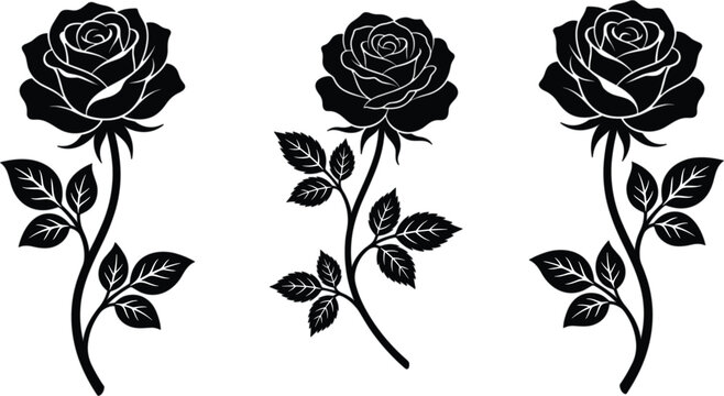 Black and white rose vector illustration set with elegant stems and leaves for elegant wedding silhouette design templates