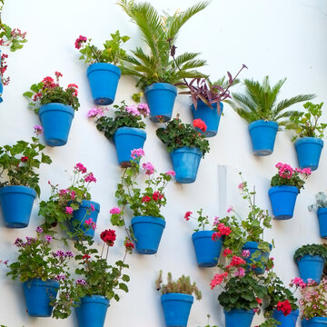 Blue Flower Pots on White Wall in Marbella