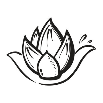 Hand sketched artichoke vegetable botanical vector design with detailed natural leaves and fresh produce concept