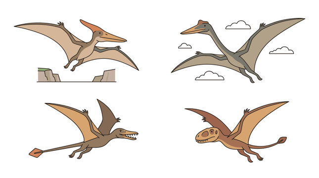 Minimalist cartoon flying pterosaur dinosaur collection isolated on white background