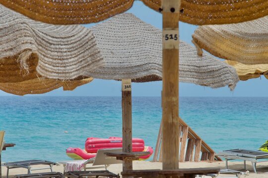 palma al sole