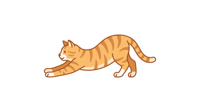 Orange Tabby Cat Stretching and Arching Back on White Background