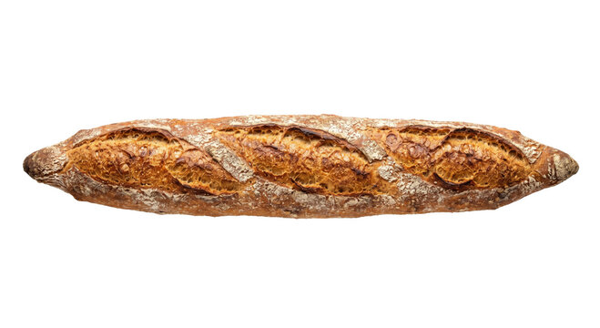 Artisan sourdough baguette with a golden crust and airy crumb, isolated on white
