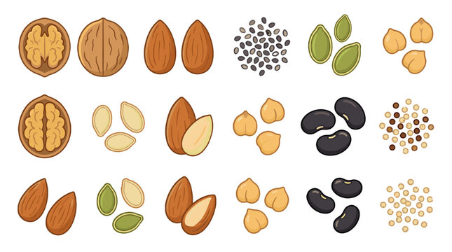 Assorted nuts, seeds and beans in hand drawn vector set