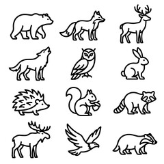 Fototapeta premium Set of wild animal line icons including bear wolf owl and squirrel with wildlife