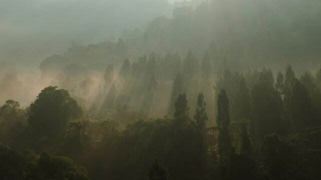 Aerial view of sunbeams piercing through the morning mist over a lush tropical forest in Sukabumi, West Java, Indonesia.