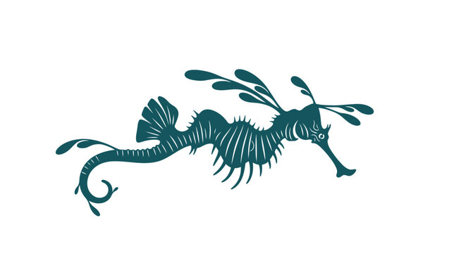 Sea Dragon Fish Marine Life Creature.
