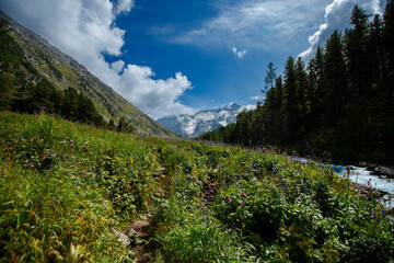 Obraz premium Majestic mountain landscape with lush meadow and clear blue sky
