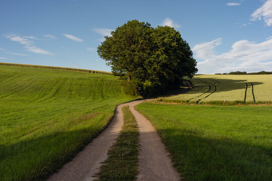 Ausoniusstra&szlig;e im Hunsr&uuml;ck