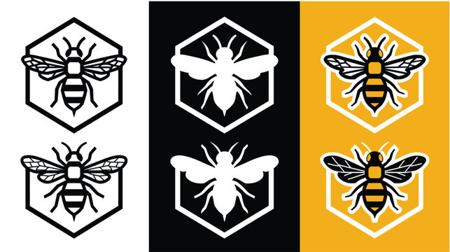 Bee vector icon set showing honeybee inside hexagonal frames