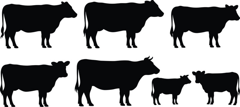 Cow silhouettes set, calf outline, black animal shapes, farm livestock icons, agriculture design, rustic vector illustration, cattle identification graphicsCow silhouettes set, calf outline, black ani