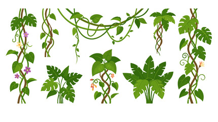Obraz premium Tropical vine and jungle leaf border set on white background