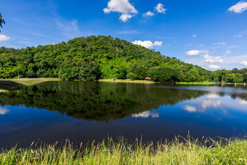 Obraz premium A natural backdrop of high mountains, surrounded by diverse trees, showcasing the beauty of the ecosystem and the meticulous management of the natural environment.
