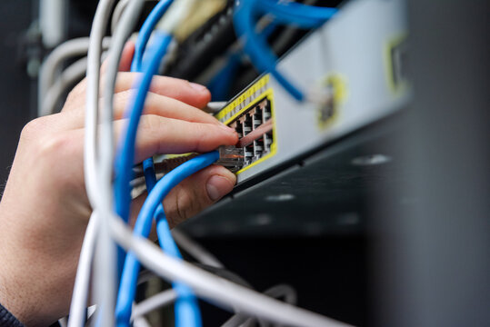 Close-up of a technician's hands organizing and plugging blue and grey ethernet network cables into a network switch.