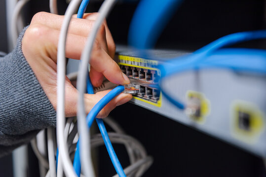 Close-up of a technician's hands organizing and plugging blue and grey ethernet network cables into a network switch.
