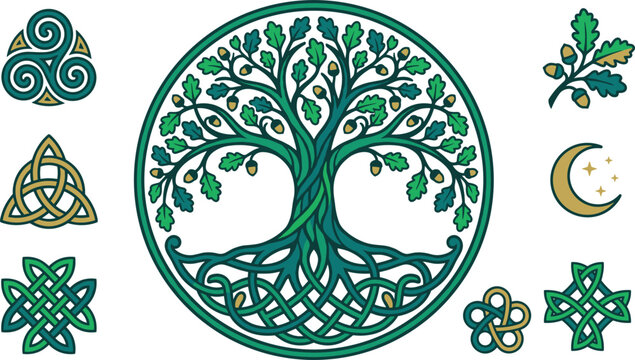 Celtic tree of life vector element set featuring sacred oak tree with intertwined roots triskele triquetra knots crescent moon and acorns