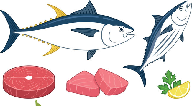Yellowfin tuna and skipjack fish vector illustration set with raw steak loin fillet chunks lemon slice parsley isolated on flat white background
