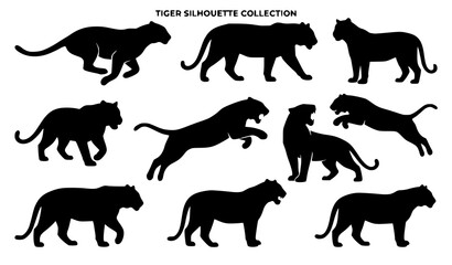 Tiger Silhouette Vector Icon Set Featuring Wild Cat Shapes Walking Running Jumping and Roaring for Mascot Logo Emblem and Wildlife Graphic Designs © Hosneara