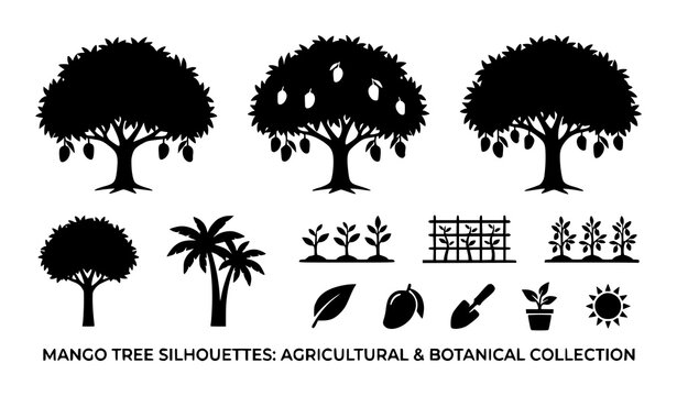 Mango Tree Silhouette Vector Icon Set Featuring Agricultural Farm Fields, Palm Trees, Fruit Crops, Gardening Tools, and Botanical Elements for Nature Designs