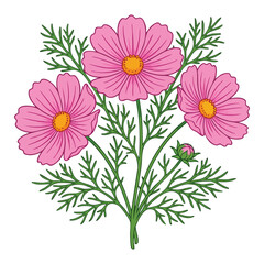 Fototapeta premium Pink Cosmos Flowers Bouquet Illustration
