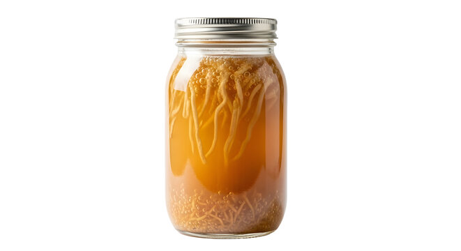 Fermenting SCOBY in a glass jar with bubbly liquid and strands