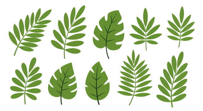 Green leafy vector set various tropical plant leaves and foliage elements