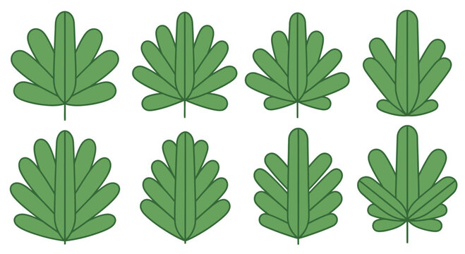 Green leaves vector illustration on white background for design elements