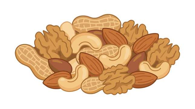 Mixed nuts assortment with almonds cashews peanuts and walnuts